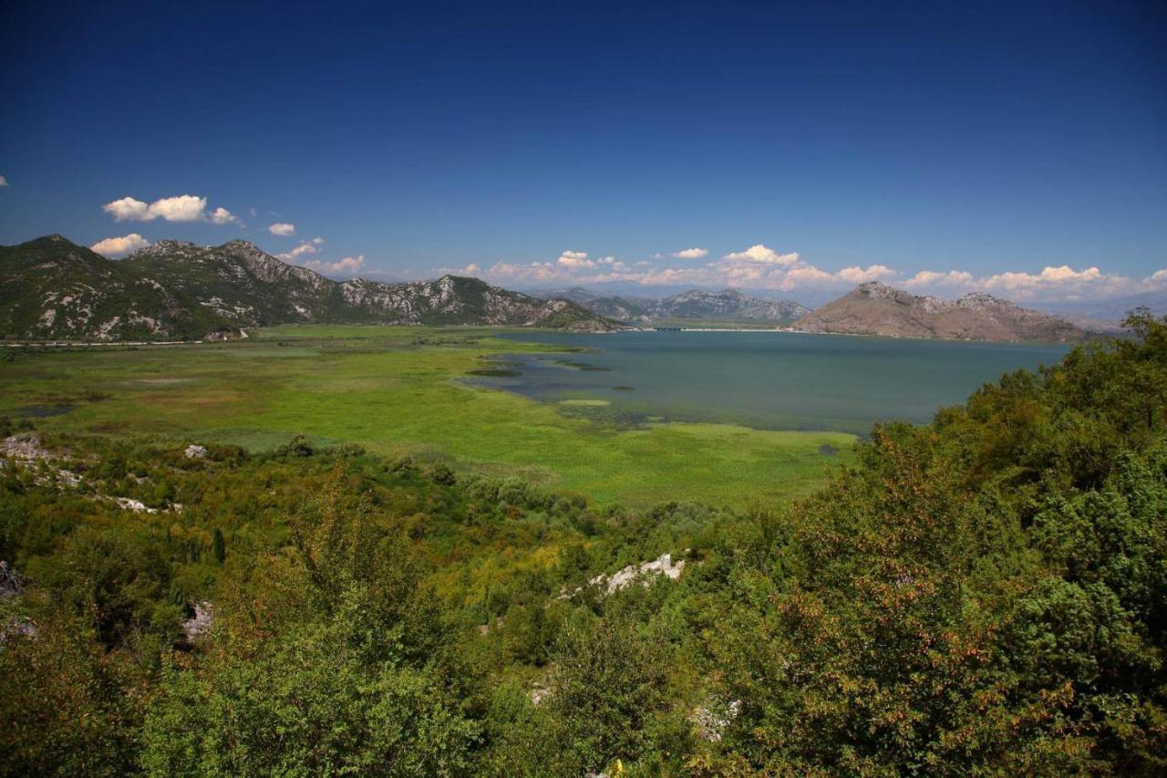 Sunny Balconies Apartments Skadar Lake Virpazar Eksteriør billede